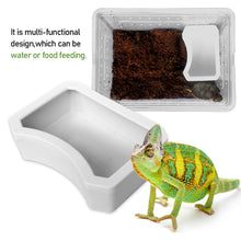 Load image into Gallery viewer, Reptiles Feeder Water Bowl Pet Feeder Utensils Bowl Crawler Basin Resin Non-toxic Food Water Pot Pets Supplies
