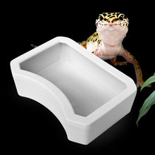 Load image into Gallery viewer, Reptiles Feeder Water Bowl Pet Feeder Utensils Bowl Crawler Basin Resin Non-toxic Food Water Pot Pets Supplies
