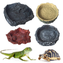 Load image into Gallery viewer, Reptiles Feeder Water Bowl Pet Feeder Utensils Bowl Crawler Basin Resin Non-toxic Food Water Pot Pets Supplies
