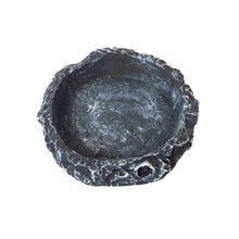 Load image into Gallery viewer, Reptiles Feeder Water Bowl Pet Feeder Utensils Bowl Crawler Basin Resin Non-toxic Food Water Pot Pets Supplies
