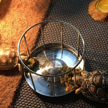 Load image into Gallery viewer, Amphibians Reptiles Feeder Water Bowl Reptile Terrarium Feeding Basin Tortoise Lizard Crawler Bowl Basin Water Fountain

