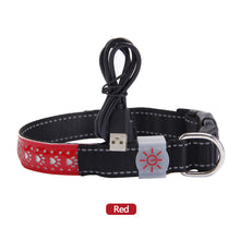 Load image into Gallery viewer, LED Dog Collar Engraved Design Glowing Up Anti-lost Luminous Collar Night Safety Collars with Batteries Adjustable Pet Necklace Glow Collar for Small Dogs Cat
