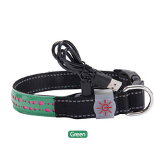Load image into Gallery viewer, LED Dog Collar Engraved Design Glowing Up Anti-lost Luminous Collar Night Safety Collars with Batteries Adjustable Pet Necklace Glow Collar for Small Dogs Cat
