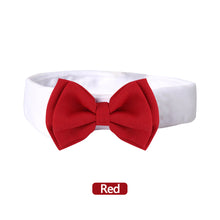 Load image into Gallery viewer, Adjustable Pet Cat Bow Tie Pet Neck Tie Costume Formal Dog Collar for Dogs and Cats Pet Accessories for Photo Props Wedding Party Gift

