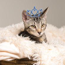 Load image into Gallery viewer, Pet Cat Jewelry Tiara Crown Hair Clip Necklace for Small Dogs Crystal Rhinestone Girls Barrette Grooming Hair Accessories
