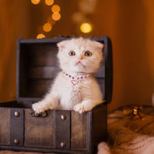 Load image into Gallery viewer, Pet Cat Jewelry Tiara Crown Hair Clip Necklace for Small Dogs Crystal Rhinestone Girls Barrette Grooming Hair Accessories
