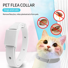 Load image into Gallery viewer, 15/19inch Pet Antiparasitic Collar Anti Flea Tick Mite Lice Repellent Dog Cat Collar Deworming Collar Supplies 2 Years Shelf Life
