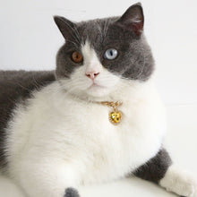Load image into Gallery viewer, Heart Shape Diamond Inlaid Pet Cat Collar Pets Shiny Crystal Collars Footprints Accessories For Kitten Dog Collar Cat Necklace

