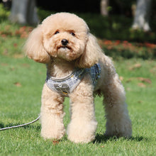 Load image into Gallery viewer, 1Pcs Dog Soft Adjustable Harness Pet Cat Walk Out Harness Vest Collar Hand Strap for Small Medium Large Dogs

