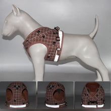 Load image into Gallery viewer, 1Pcs Dog Soft Adjustable Harness Pet Cat Walk Out Harness Vest Collar Hand Strap for Small Medium Large Dogs
