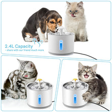 Load image into Gallery viewer, 2.4L/80oz Automatic Pet Cat Water Fountain with LED Lighting with Filters USB Charging Dogs Cats Mute Drinker Feeder Bowl Drinking Dispenser
