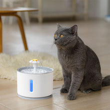Load image into Gallery viewer, 2.4L/80oz Automatic Pet Cat Water Fountain with LED Lighting with Filters USB Charging Dogs Cats Mute Drinker Feeder Bowl Drinking Dispenser
