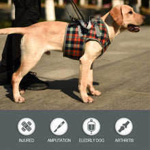 Load image into Gallery viewer, Dog Support Harness for Front and Rear Legs Lifting Adjustable Rehabilitation Vest for Old Dogs with Disabilities Pet Supplies
