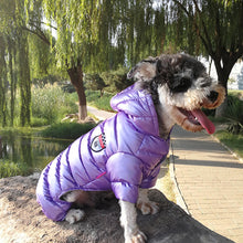 Load image into Gallery viewer, Dog Jumpsuit Winter Waterproof Pet Puppy Dog Coat Dog Jacket Clothing For Small Medium Dogs Chihuahua Yorkshire Pug

