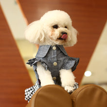 Load image into Gallery viewer, Pet Denim Tutu Dress Dog Cat Spring Summer Cowboy Clothes For Dog Girls Small Medium Dog Puff Sleeve Bowknot Dress
