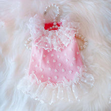 Load image into Gallery viewer, Spring Summer Dog Cat Princess Dress Pet Lace Skirts Pet Clothes Comfortable Soft Puppuy Dogs Cats Dress Pet Clothes

