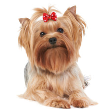Load image into Gallery viewer, 10Pcs Dog Hair Bows Diamond Dog Hair Accessories Rubber Bands Dog Bows Dogs Pets Hair Accessories Pet Grooming Products
