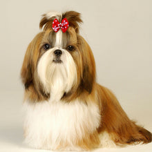 Load image into Gallery viewer, 10Pcs Dog Hair Bows Diamond Dog Hair Accessories Rubber Bands Dog Bows Dogs Pets Hair Accessories Pet Grooming Products
