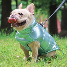 Load image into Gallery viewer, Clothes For Small Dogs Waterproof Dog Clothes Puppy Pet Jacket Winter Warm Vest Dog Coat Clothing For Chihuahua French Bulldog
