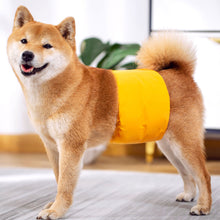 Load image into Gallery viewer, Dog Diaper Physiological Pants Waterproof Sanitary Washable Male Dog Menstrual Panties Shorts Underwear Briefs Large Dogs Belt
