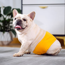Load image into Gallery viewer, Dog Diaper Physiological Pants Waterproof Sanitary Washable Male Dog Menstrual Panties Shorts Underwear Briefs Large Dogs Belt
