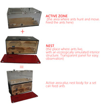 Load image into Gallery viewer, Acrylic Ant Farm Spliceable Ant Nest Concrete Ant House with Intelligence Infinite Expansion Insect House Ants Colony Anthill Pet Workshop Kit Accessories
