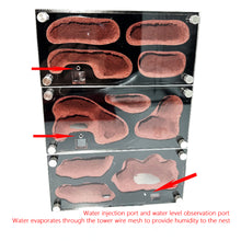 Load image into Gallery viewer, Acrylic Ant Farm Spliceable Ant Nest Concrete Ant House with Intelligence Infinite Expansion Insect House Ants Colony Anthill Pet Workshop Kit Accessories
