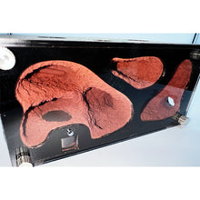 Load image into Gallery viewer, Acrylic Ant Farm Spliceable Ant Nest Concrete Ant House with Intelligence Infinite Expansion Insect House Ants Colony Anthill Pet Workshop Kit Accessories
