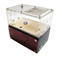 Load image into Gallery viewer, Acrylic Ant Farm Spliceable Ant Nest Concrete Ant House with Intelligence Infinite Expansion Insect House Ants Colony Anthill Pet Workshop Kit Accessories
