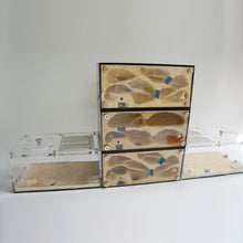 Load image into Gallery viewer, Acrylic Ant Farm Spliceable Ant Nest Concrete Ant House with Intelligence Infinite Expansion Insect House Ants Colony Anthill Pet Workshop Kit Accessories
