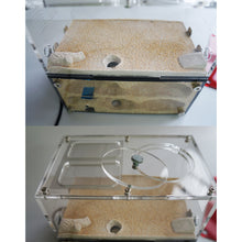 Load image into Gallery viewer, Acrylic Ant Farm Spliceable Ant Nest Concrete Ant House with Intelligence Infinite Expansion Insect House Ants Colony Anthill Pet Workshop Kit Accessories
