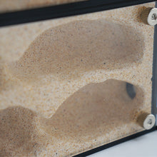 Load image into Gallery viewer, Acrylic Ant Farm Spliceable Ant Nest Concrete Ant House with Intelligence Infinite Expansion Insect House Ants Colony Anthill Pet Workshop Kit Accessories
