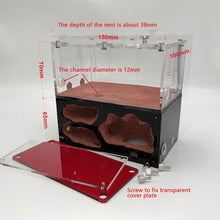 Load image into Gallery viewer, Acrylic Ant Farm Spliceable Ant Nest Concrete Ant House with Intelligence Infinite Expansion Insect House Ants Colony Anthill Pet Workshop Kit Accessories
