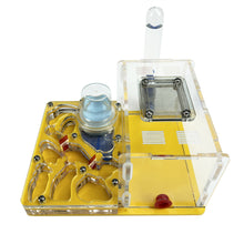 Load image into Gallery viewer, T Design DIY Acryl Flat 3D Ant Farm Ant Nest with Feeding Area Ant House Insect Villa Pet Anthill Workshop with Moisturizing Water Tower 12*15*7.5cm
