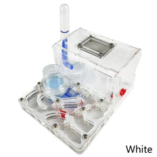 Load image into Gallery viewer, T Design DIY Acryl Flat 3D Ant Farm Ant Nest with Feeding Area Ant House Insect Villa Pet Anthill Workshop with Moisturizing Water Tower 12*15*7.5cm
