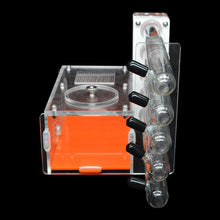 Load image into Gallery viewer, DIY Acrylic Ant Farm with Feeding Area Ant Nest Ants House 5 Plaster Tubes Insect Villa Gypsum Test Tube Nest Pet Anthill Workshop 13.5*12*12.5CM
