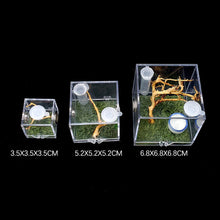 Load image into Gallery viewer, 1set Insect Breathable Terrarium Ant Farm Water Feeder Black Widow Spider Small Insect Terrarium Transparent Reptile Breeding Box Acrylic Assembled Eco Box
