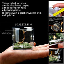Load image into Gallery viewer, 1set Insect Breathable Terrarium Ant Farm Water Feeder Black Widow Spider Small Insect Terrarium Transparent Reptile Breeding Box Acrylic Assembled Eco Box
