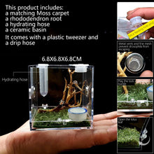 Load image into Gallery viewer, 1set Insect Breathable Terrarium Ant Farm Water Feeder Black Widow Spider Small Insect Terrarium Transparent Reptile Breeding Box Acrylic Assembled Eco Box
