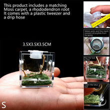Load image into Gallery viewer, 1set Insect Breathable Terrarium Ant Farm Water Feeder Black Widow Spider Small Insect Terrarium Transparent Reptile Breeding Box Acrylic Assembled Eco Box
