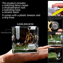 Load image into Gallery viewer, 1set Insect Breathable Terrarium Ant Farm Water Feeder Black Widow Spider Small Insect Terrarium Transparent Reptile Breeding Box Acrylic Assembled Eco Box
