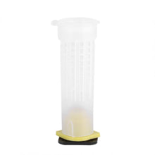 Load image into Gallery viewer, 10Pcs Bee Equipment Queen cage Rearing Cup kit Cover Catcher Queen Plastic Cells 7.6cm 2.6cm Bees Box Beekeeping Supplies Insects Tools Wholesale Bee feeder
