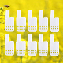 Load image into Gallery viewer, 10 Pcs Beekeeping White Cages Plastic Bee House Queen Cage Move Queen Bee Isolation Tools Apiculture Bee Equipment Beekeeping Protection
