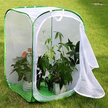 Load image into Gallery viewer, Green Collapsible Insect Cage Light Transmission Mesh Net Butterfly Habitat Cage Mantis Stick Grasshopper Seedling Insects Incubator Breeding Zipper Foldable Cages
