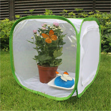 Load image into Gallery viewer, Green Collapsible Insect Cage Light Transmission Mesh Net Butterfly Habitat Cage Mantis Stick Grasshopper Seedling Insects Incubator Breeding Zipper Foldable Cages

