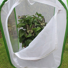 Load image into Gallery viewer, Green Collapsible Insect Cage Light Transmission Mesh Net Butterfly Habitat Cage Mantis Stick Grasshopper Seedling Insects Incubator Breeding Zipper Foldable Cages
