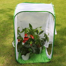 Load image into Gallery viewer, Green Collapsible Insect Cage Light Transmission Mesh Net Butterfly Habitat Cage Mantis Stick Grasshopper Seedling Insects Incubator Breeding Zipper Foldable Cages
