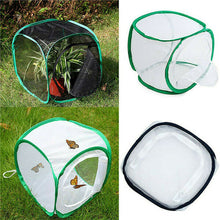 Load image into Gallery viewer, Green Collapsible Insect Cage Light Transmission Mesh Net Butterfly Habitat Cage Mantis Stick Grasshopper Seedling Insects Incubator Breeding Zipper Foldable Cages
