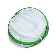 Load image into Gallery viewer, Green Collapsible Insect Cage Light Transmission Mesh Net Butterfly Habitat Cage Mantis Stick Grasshopper Seedling Insects Incubator Breeding Zipper Foldable Cages
