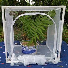Load image into Gallery viewer, Butterfly Cage Insect Habitat Popup Collapsible Butterfly Mesh Cage Plant Greenhouse Box Insects Incubator Breeding Zipper Plant Animal Tent for Outdoor

